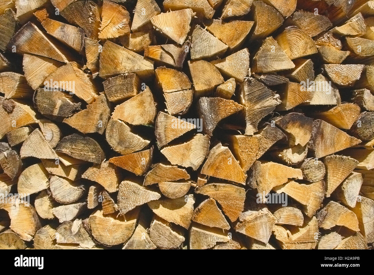 Mucchio di legno Foto Stock