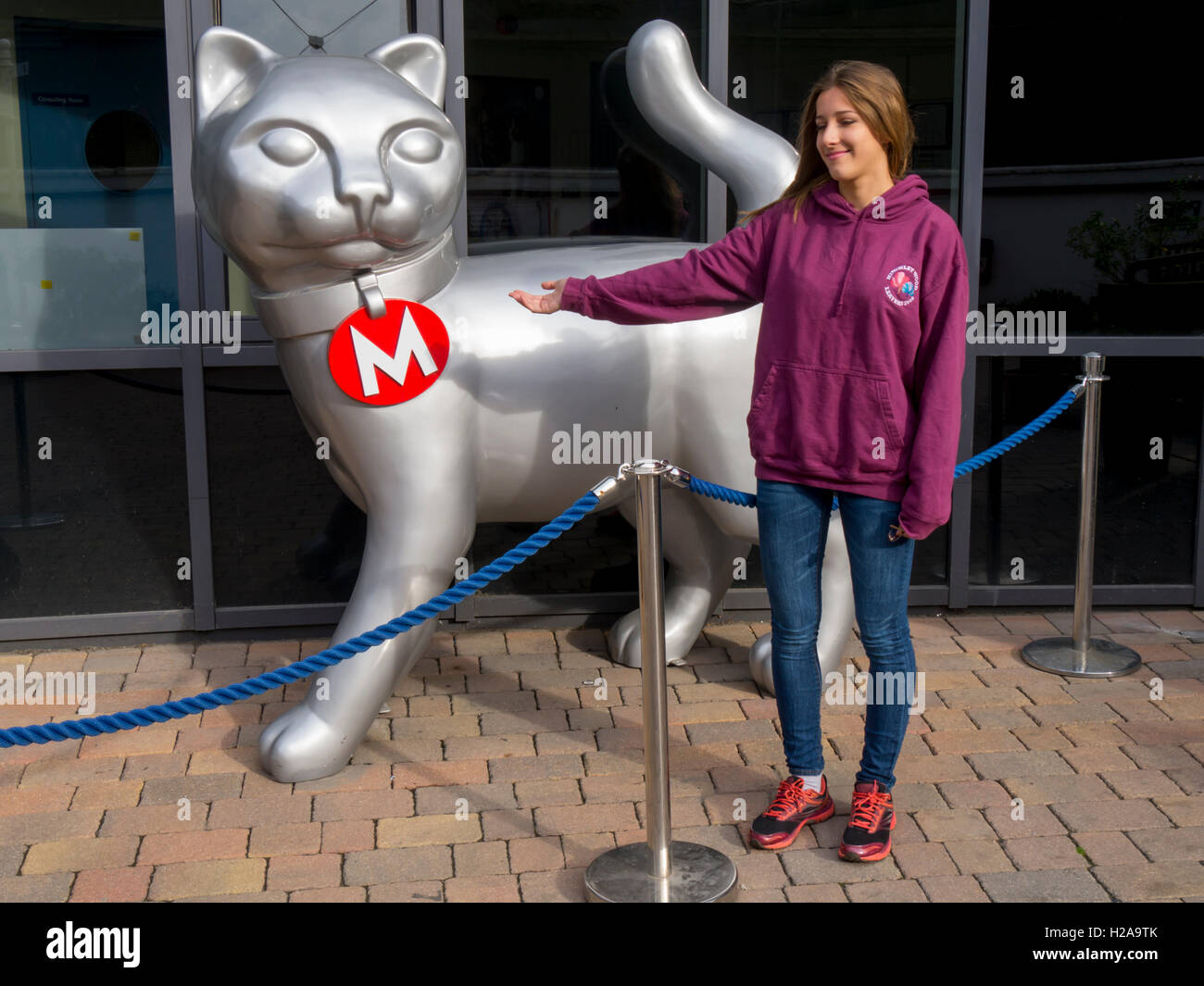 Regno Unito, Inghilterra, Londra, Battersea cani home Foto Stock