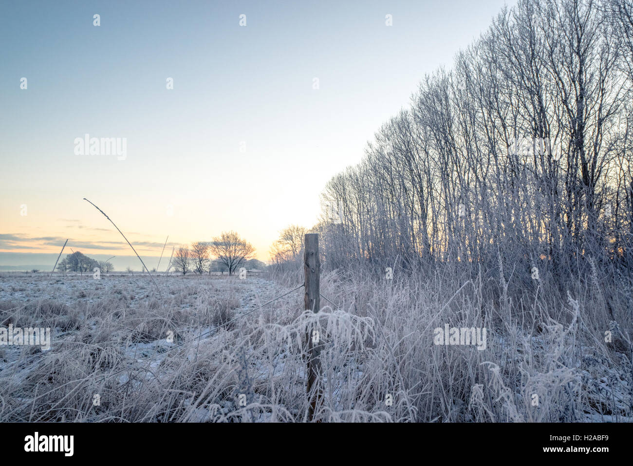 Palo da recinzione su un campo di pupazzo di neve in inverno Foto Stock