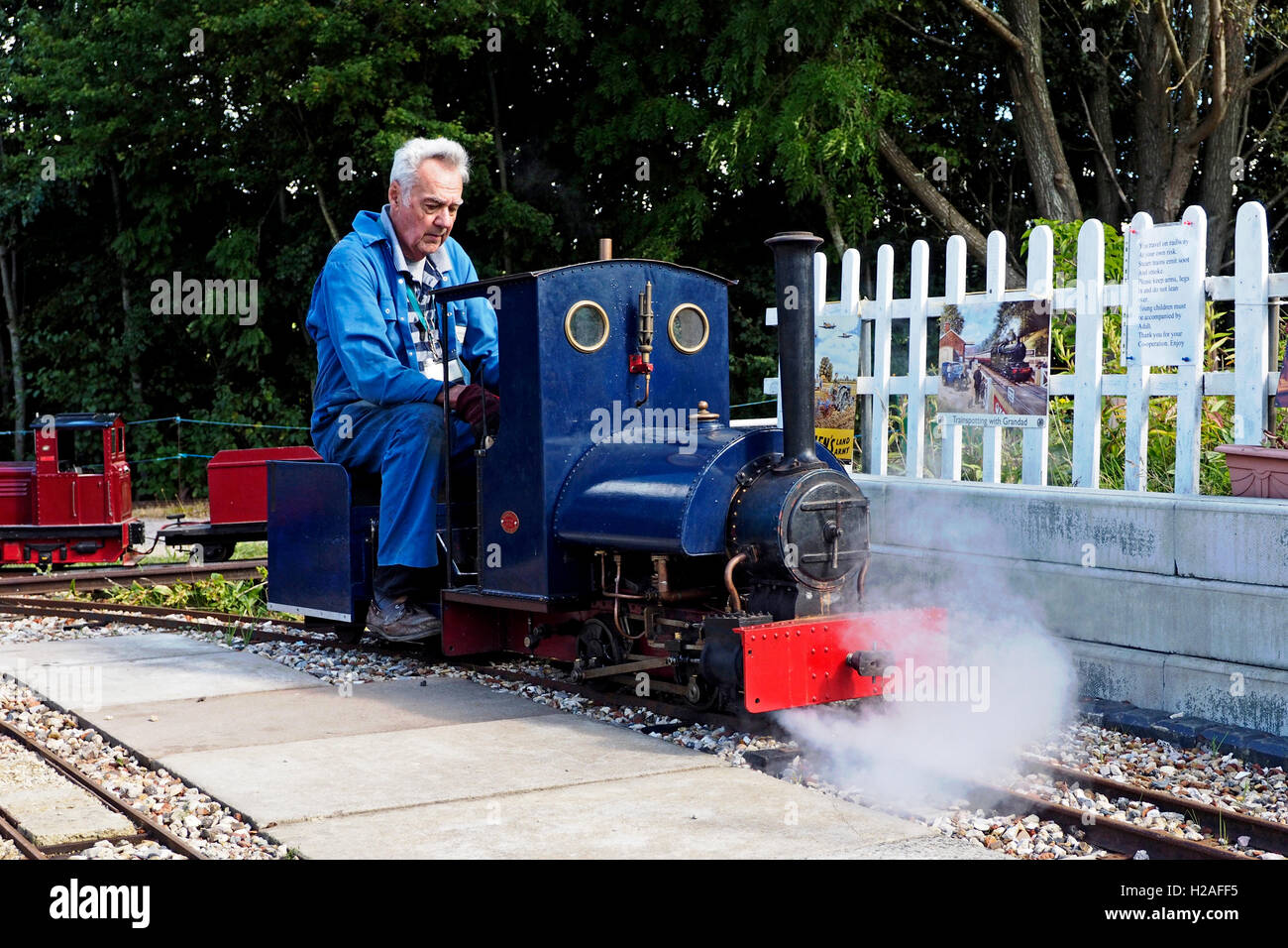 Orgoglioso proprietario aziona una 7,25 pollici manometro vapore vivo modello locomotore in laterizi Burseldon ferrovia in miniatura. Foto Stock