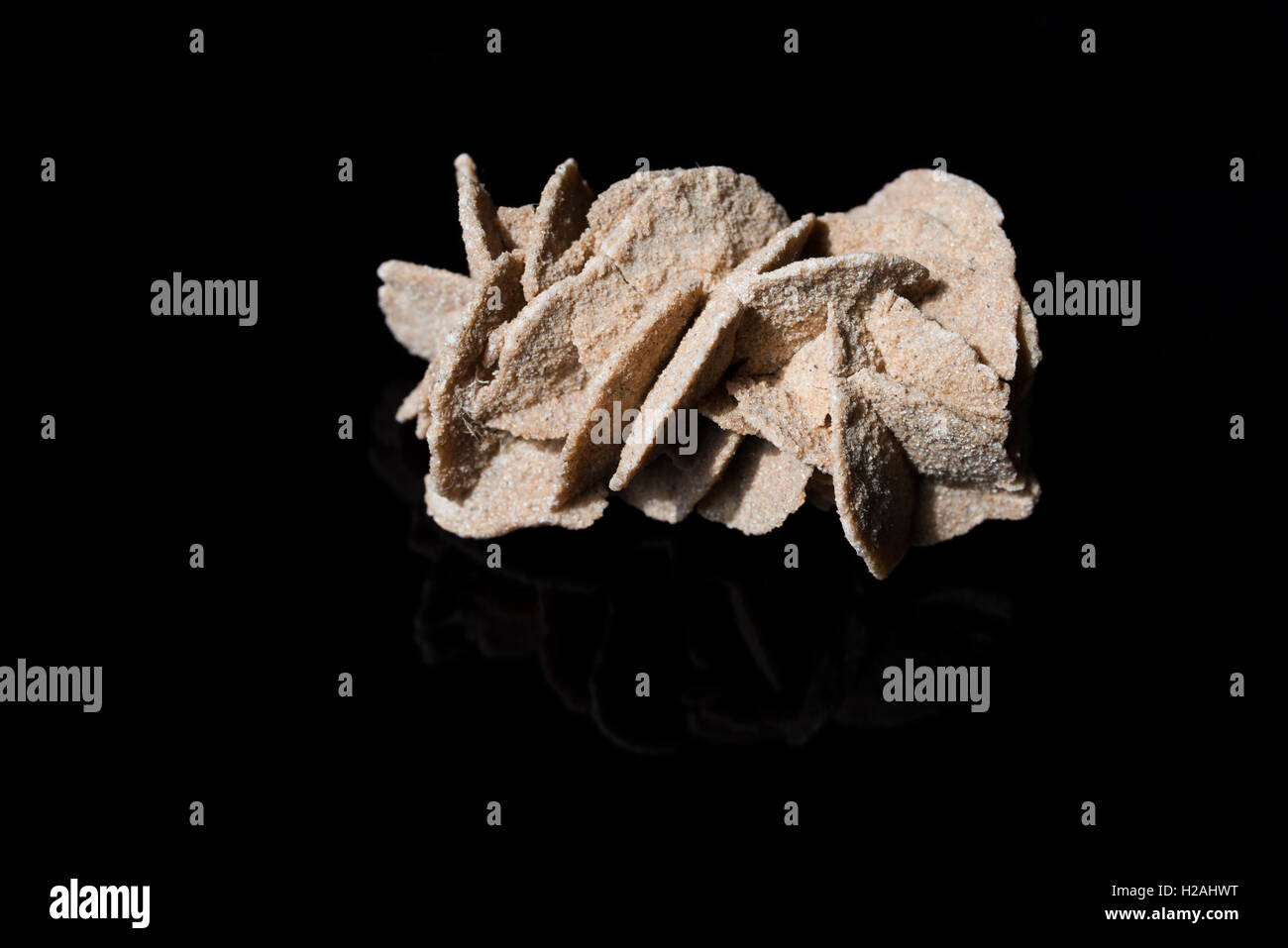 Close-up di una rosa di sabbia sulla superficie nera Foto Stock