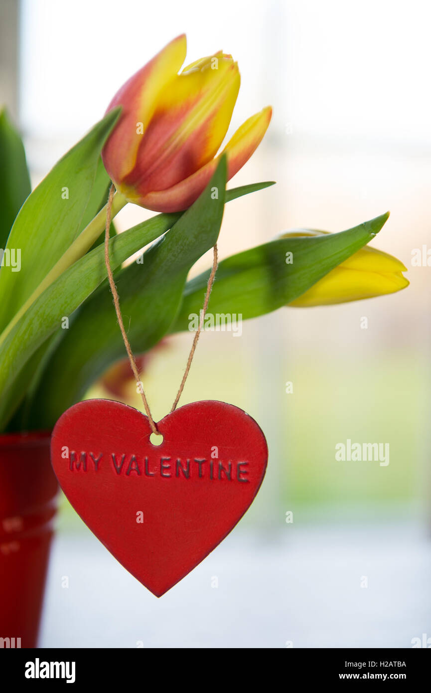 Il mio San Valentino Foto Stock