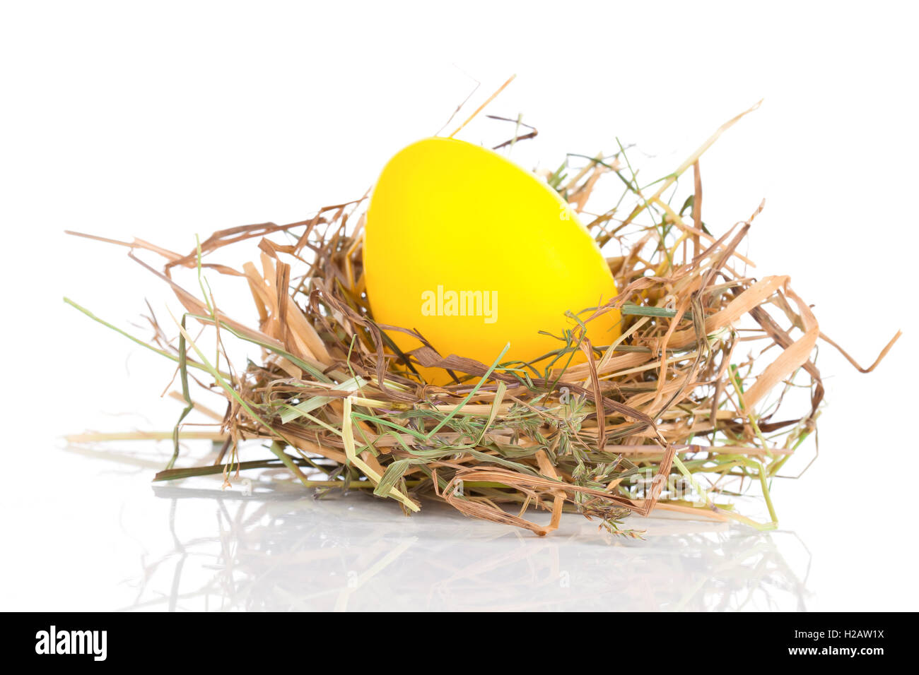 Uovo di Pasqua in un nido su sfondo bianco Foto Stock
