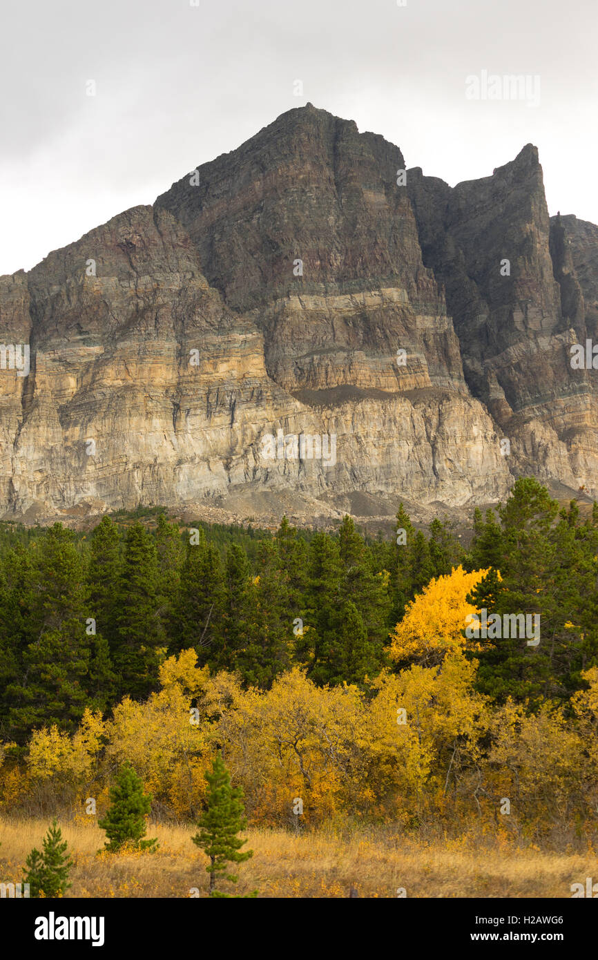 La stagione finisce con l'autunno di colore saturo nel Glacier National Park Foto Stock