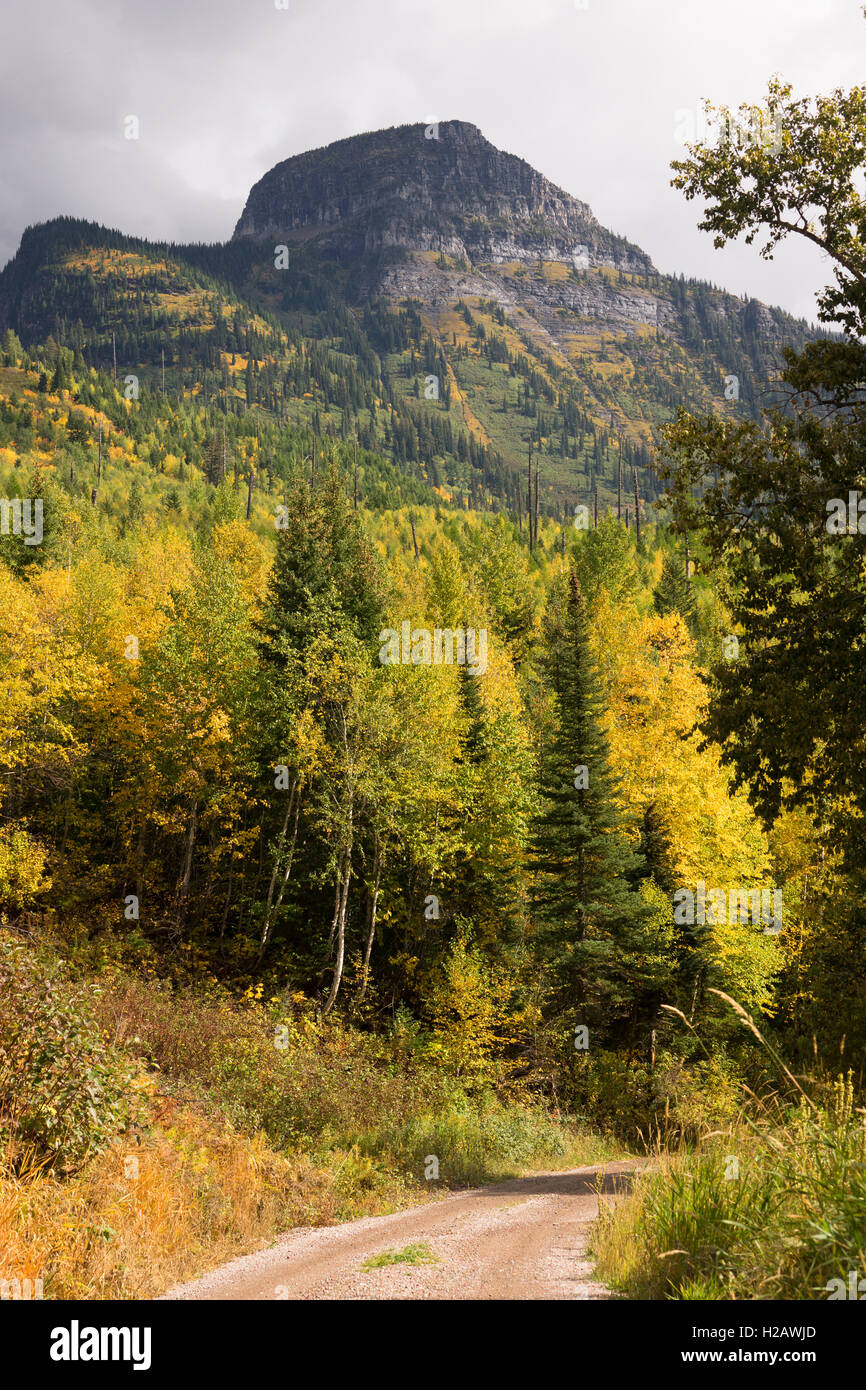 La stagione finisce con l'autunno di colore saturo nel Glacier National Park Foto Stock