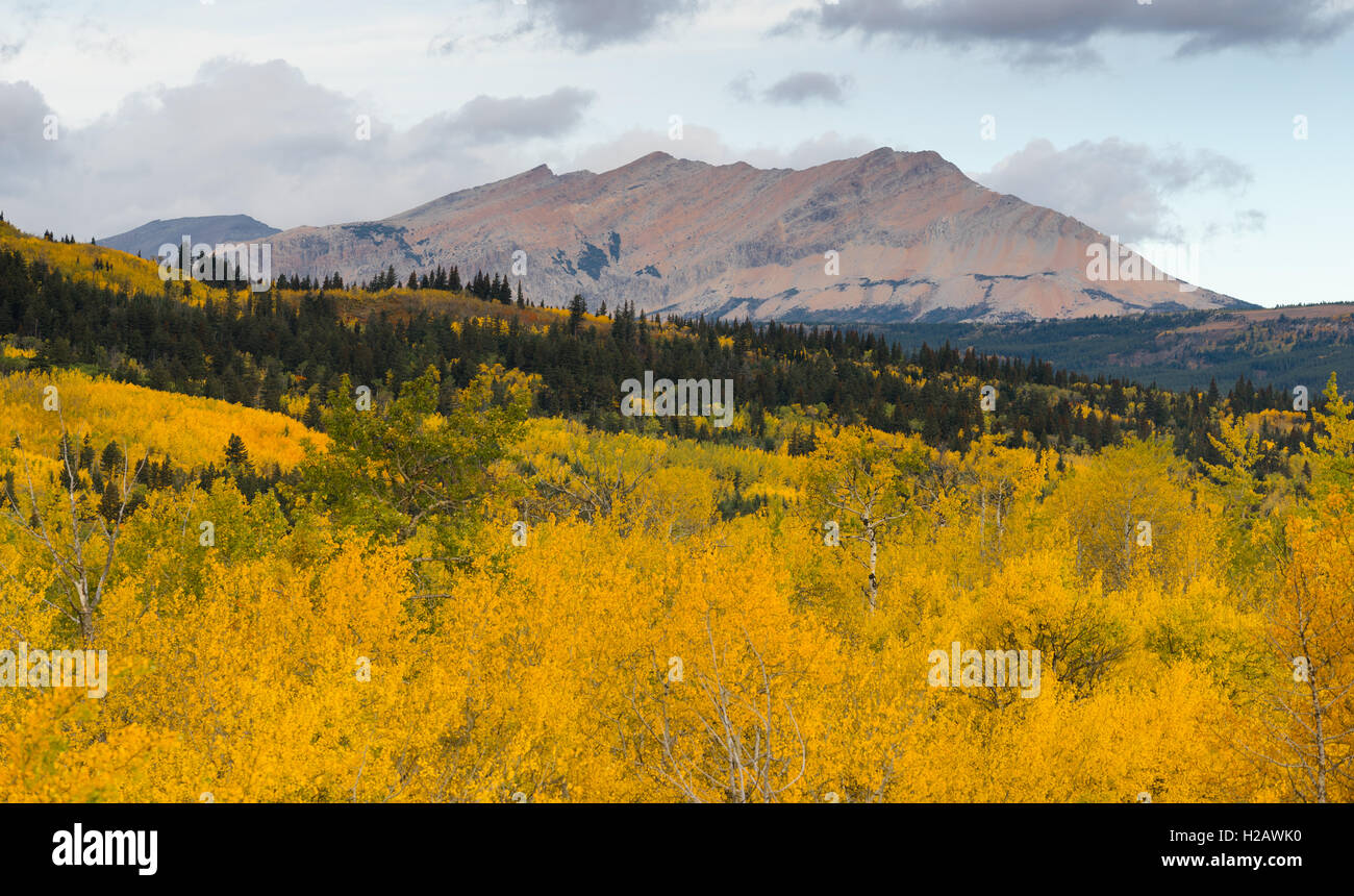 La stagione finisce con l'autunno di colore saturo nel Glacier National Park Foto Stock
