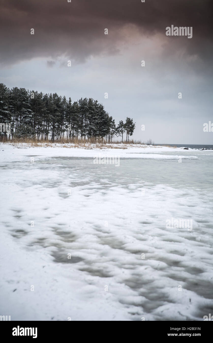 Mare d'inverno. a freddo giorno buio in Nord Europa Foto Stock