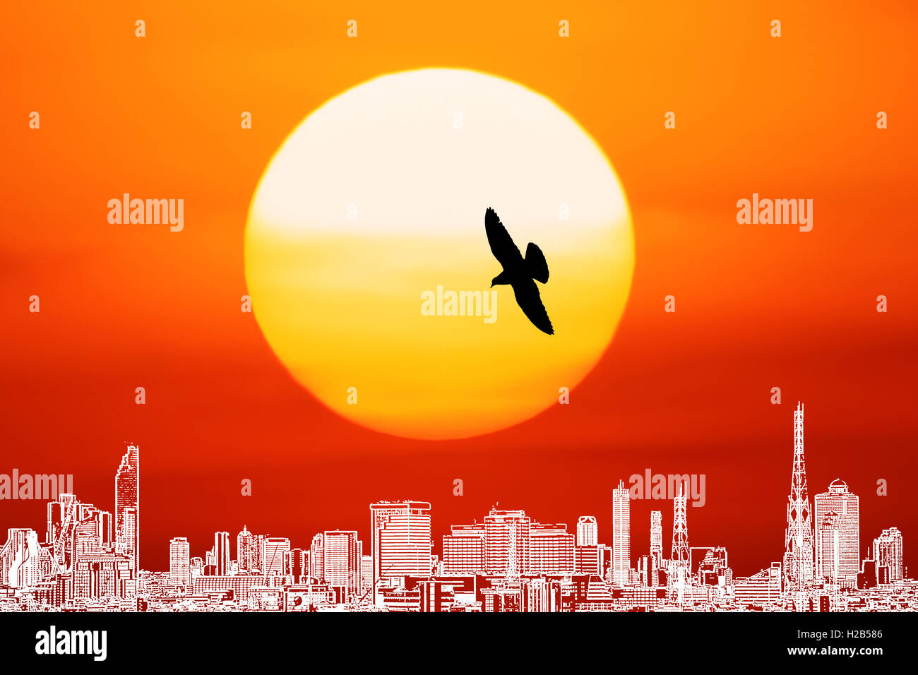 Volare, Colomba della Pace, sun, tramonto, uccelli, sfondo, Natura, Bird, mondo, libertà, sky, luce, colombe, volo, bella Foto Stock