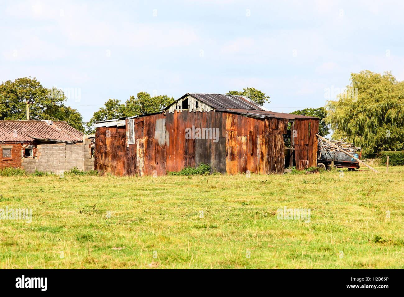Rusty ferro corrugato vecchi edifici agricoli Cheshire England Regno Unito Foto Stock