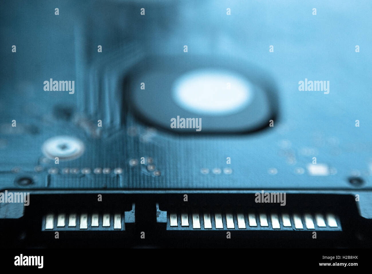 Unità disco SATA di connessione interfaccia close up Foto Stock