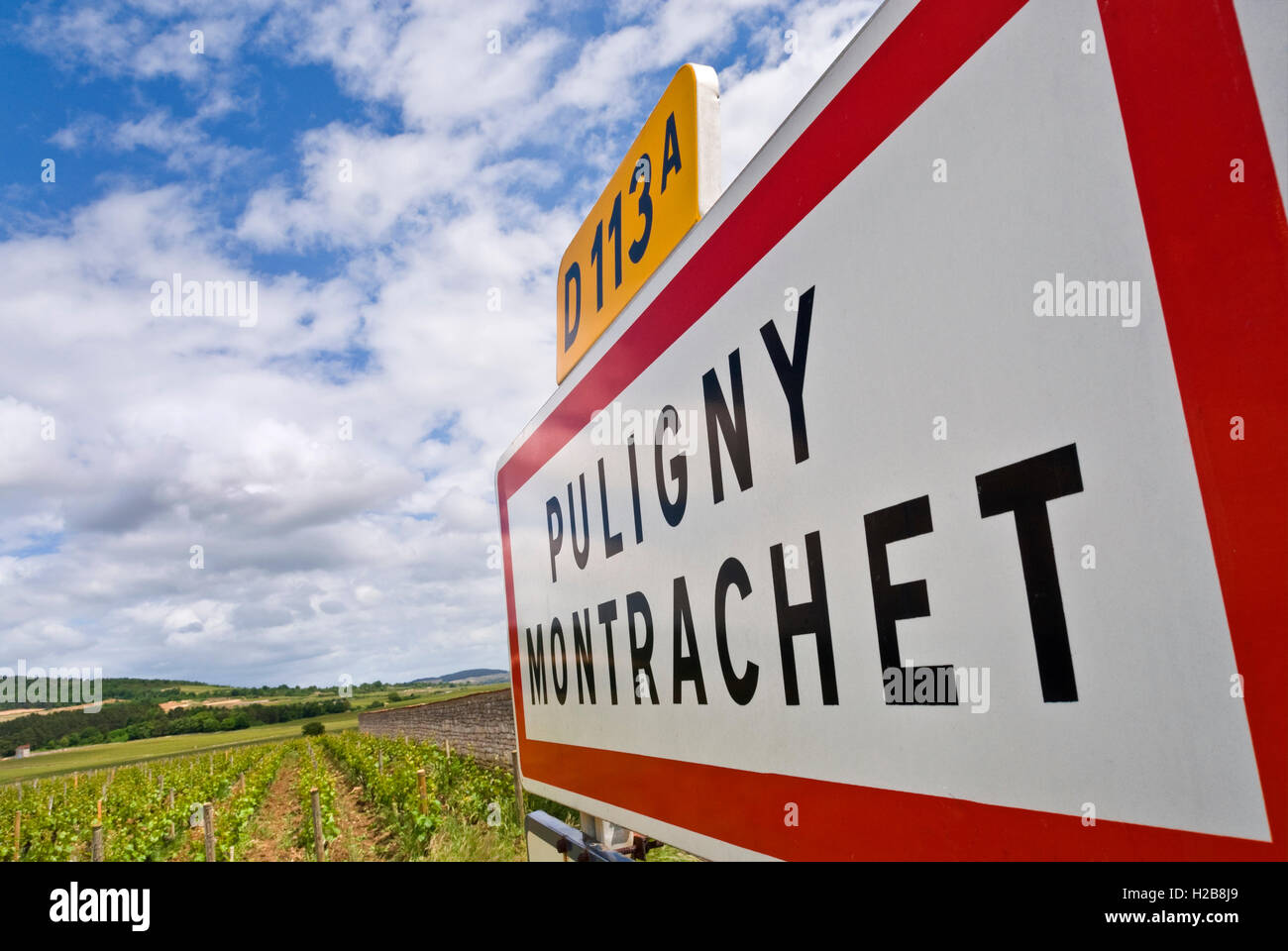 Cartello stradale sulla D113a Route des Grands Crus Puligny Montrachet, primavera sole tempo Cote d'Or France Côte de Beaune Foto Stock