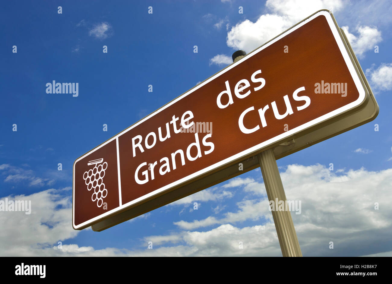 Route des Grands Crus cartello stradale vigneti Puligny Montrachet, con molla tipiche condizioni meteo Cote d o Francia Foto Stock