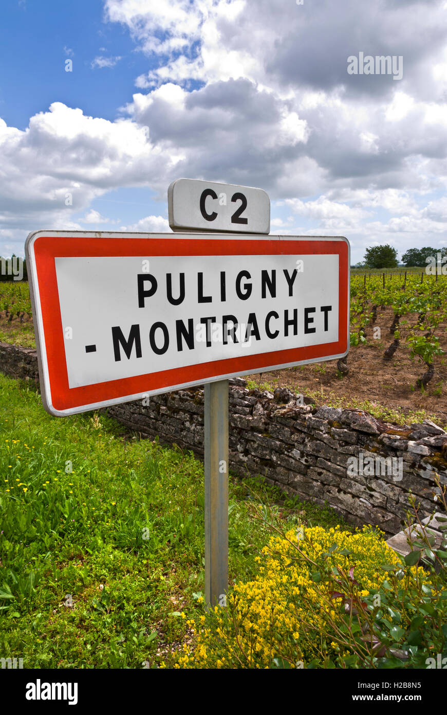 Puligny Montrachet cartello stradale sulla C2 Route des Grands Crus Puligny Montrachet, primavera tempo soleggiato Cote d'Or Francia Foto Stock