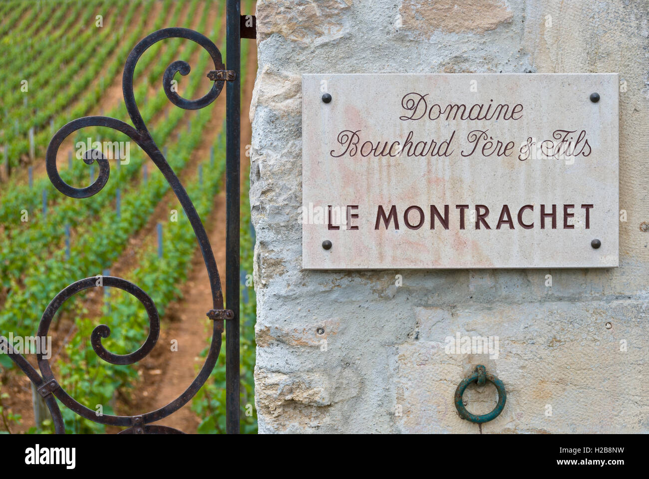 LE MONTRACHET GRAND CRU lapide in ingresso al Domaine Bouchard Pere & Fils 'Le Montrachet' Puligny Montrachet Cote d'Or Francia Foto Stock