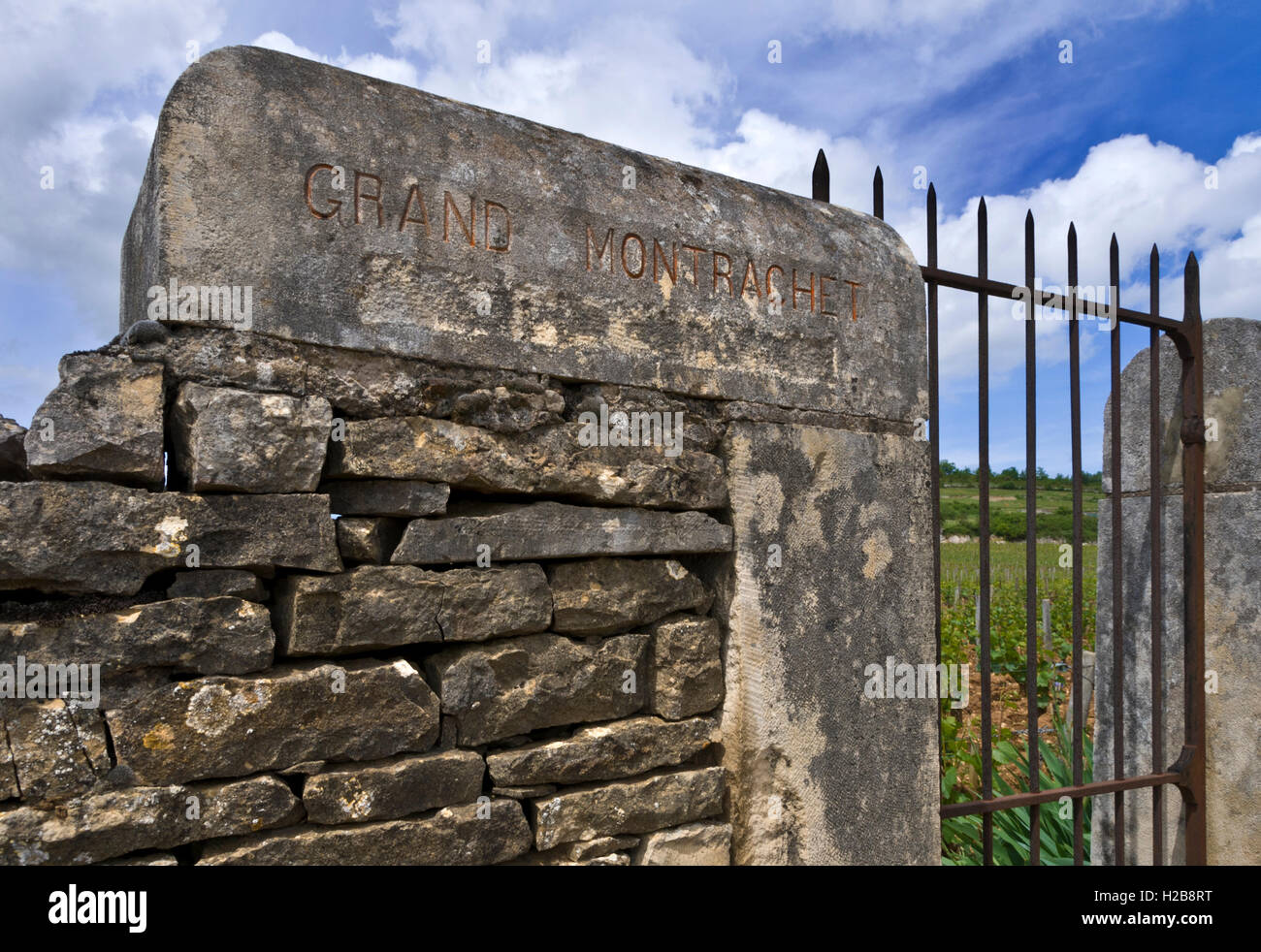 LE MONTRACHET cancello di ingresso al bel Grand Montrachet vigna Puligny-Montrachet, Côte d'Or, Francia. [Côte de Beaune Grand Cru] Foto Stock