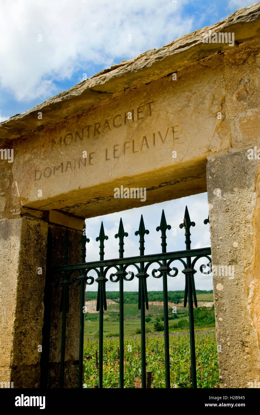 MONTRACHET GRAND CRU vigna di pietra ingresso gate e ai migliori bianchi Vigna Bourgogne Domaine Leflaive Puligny-Montrachet Borgogna Francia Foto Stock