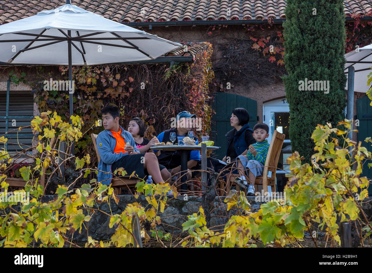 I turisti, famiglia, pranzo, Viansa Sonoma, Viansa Sonoma winery, Sonoma, Sonoma County, California Foto Stock