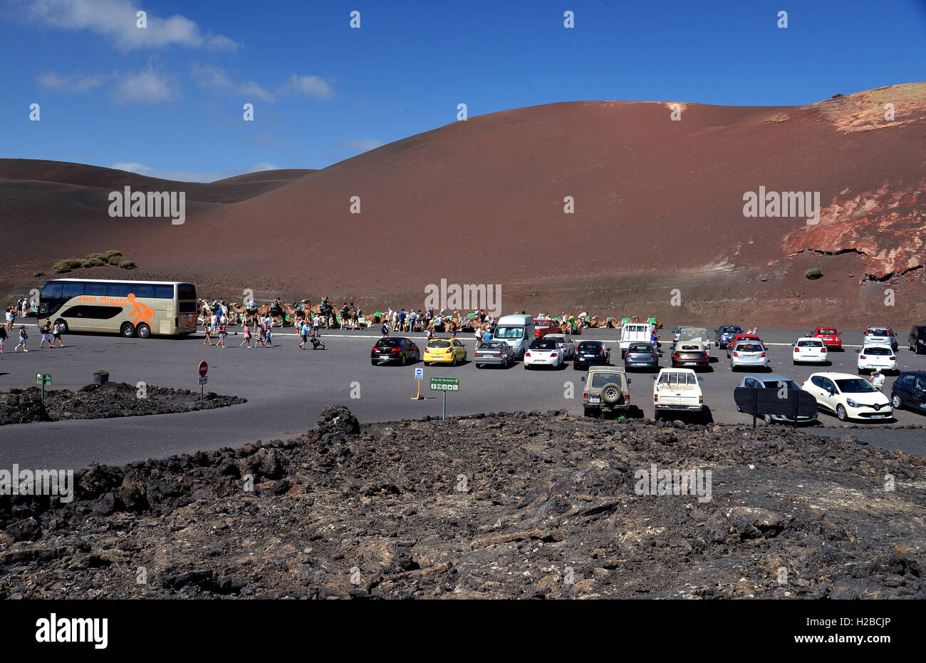Camel Safari in Lanzarote isole Canarie.Vista dei turisti in arrivo e occupato di parcheggio auto. Foto Stock