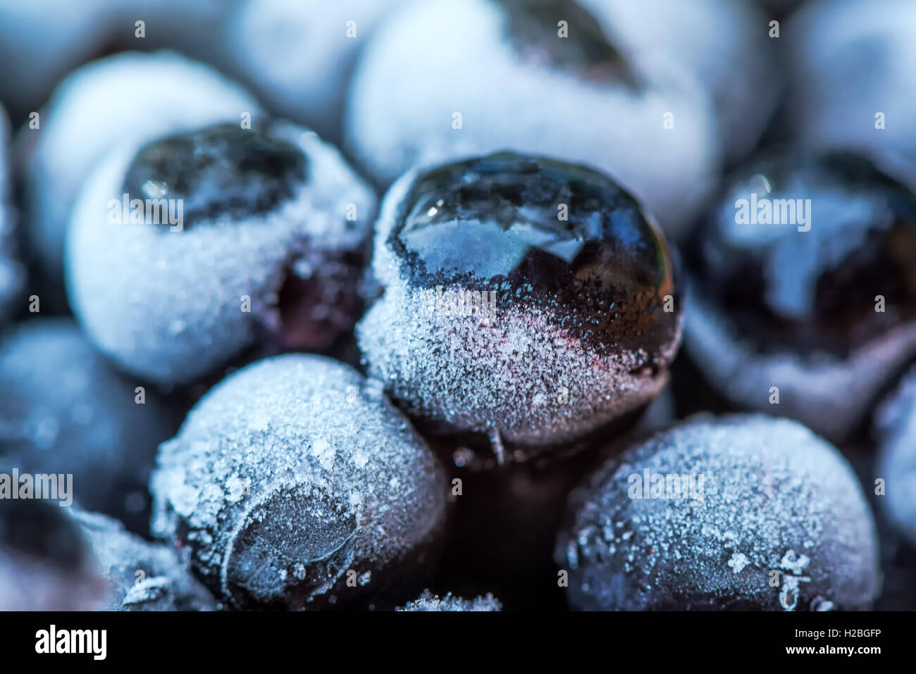 Congelati aronia chokeberry gli acini in una ciotola, potente antiossidante frutto Foto Stock