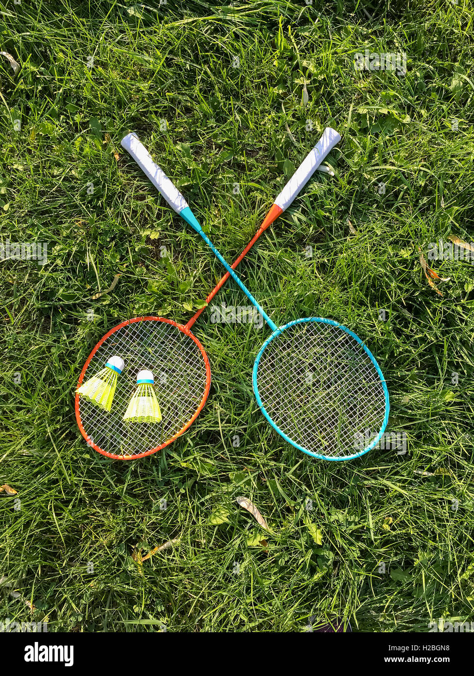 Badminton racchetta e volano attrezzatura in erba Foto Stock