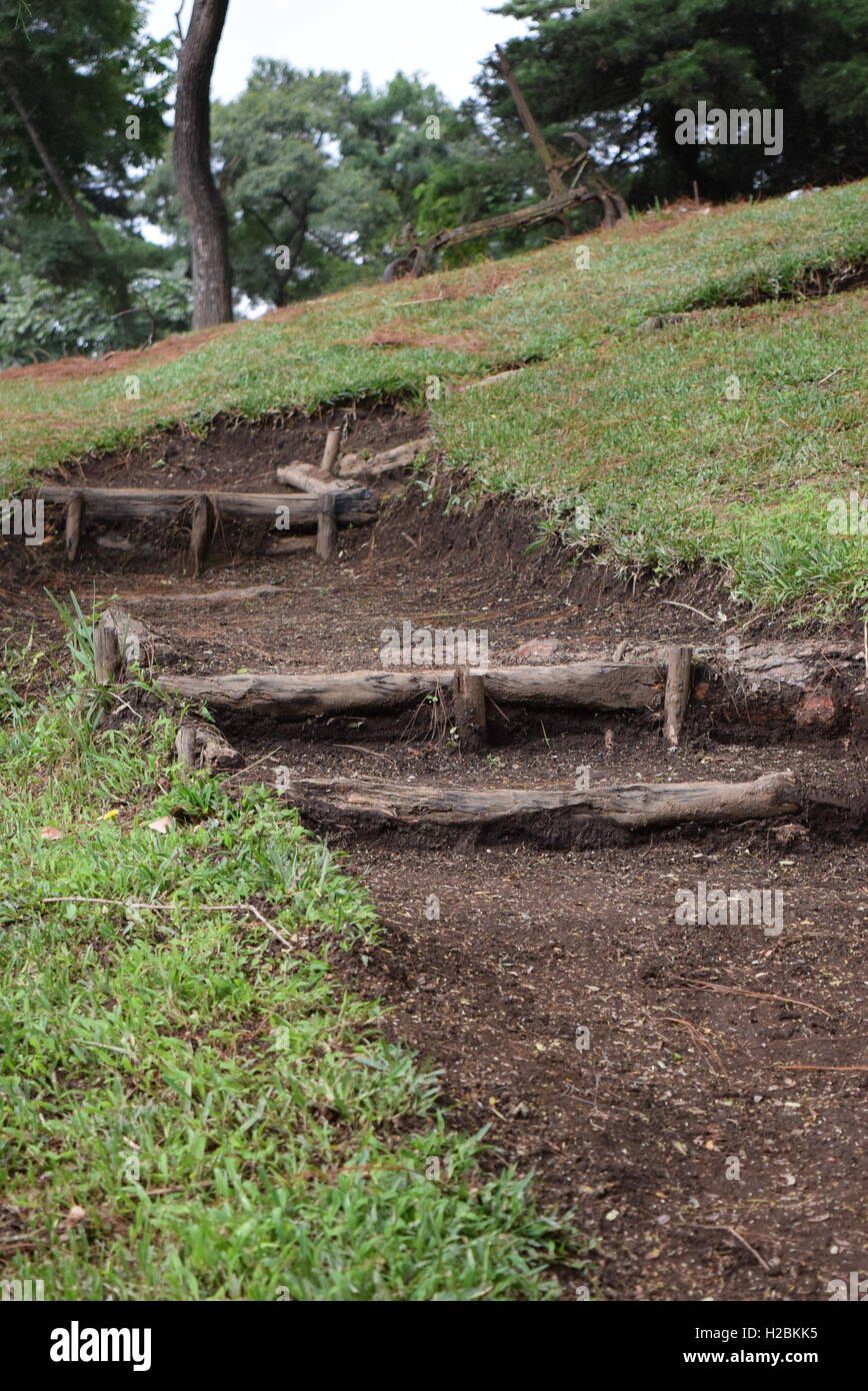 Percorso fino alla montagna in una fattoria a Antigua, Guatemala Foto Stock