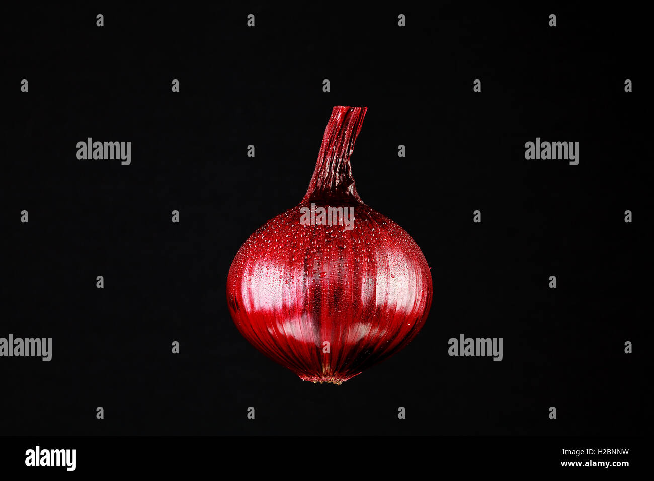 Perfetta la cipolla rossa contro uno sfondo nero Foto Stock