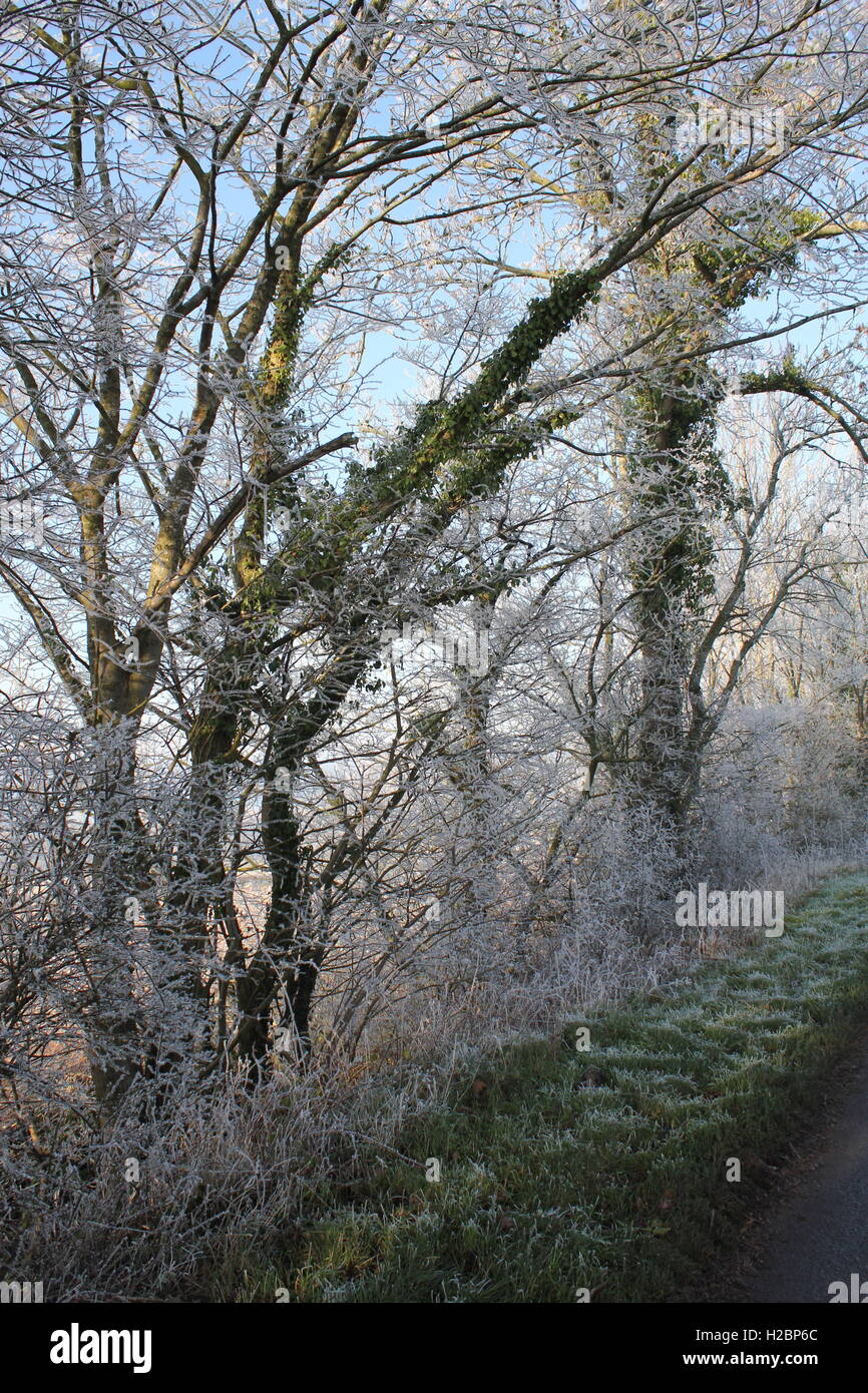 Galles del sud, gelo, fredda mattina di primavera, molto carina Foto Stock