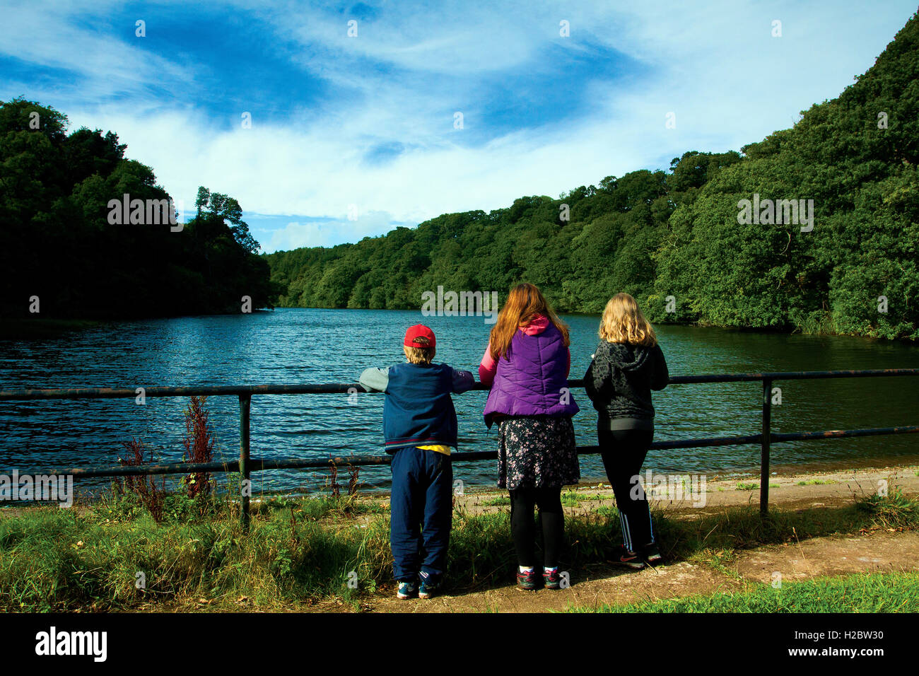 Pressmennan Lago e boschi Pressmennan vicino Stenton, East Lothian Foto Stock