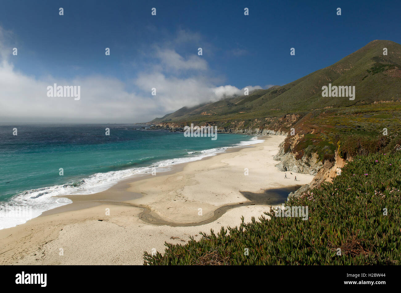 Spiaggia, Pacific autostrada costiera, vicino Monterey, California, Stati Uniti d'America Foto Stock