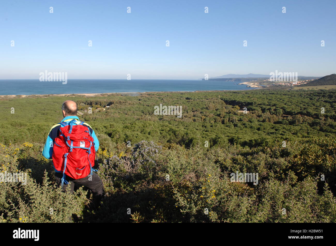 Il paesaggio della costa di Oristano, distretto di Oristano, Sardegna, Italia Foto Stock