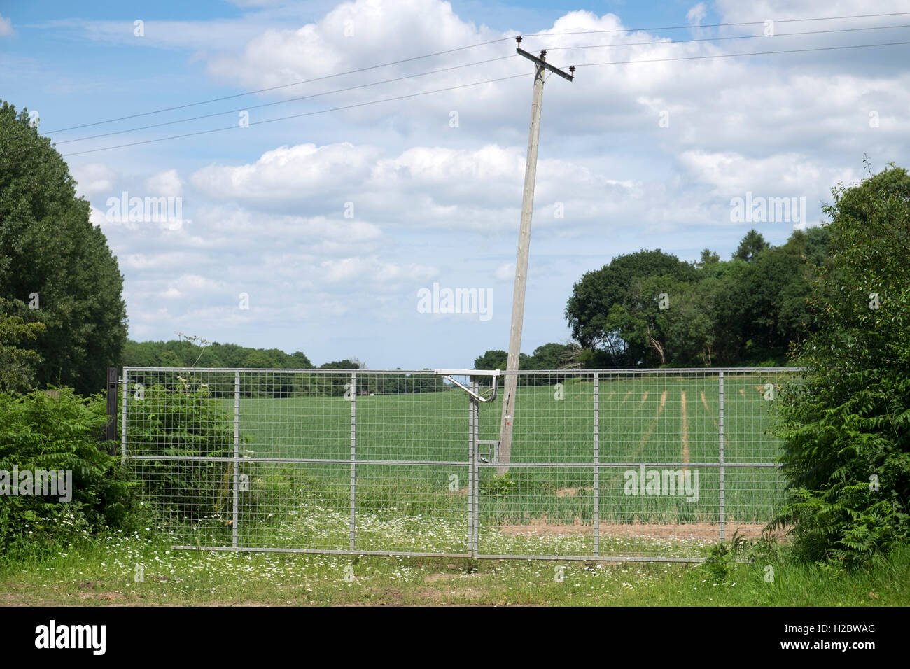 Acciaio stoping cancelli di ingresso illegale su terreni agricoli, Orford, Suffolk, Regno Unito. Foto Stock
