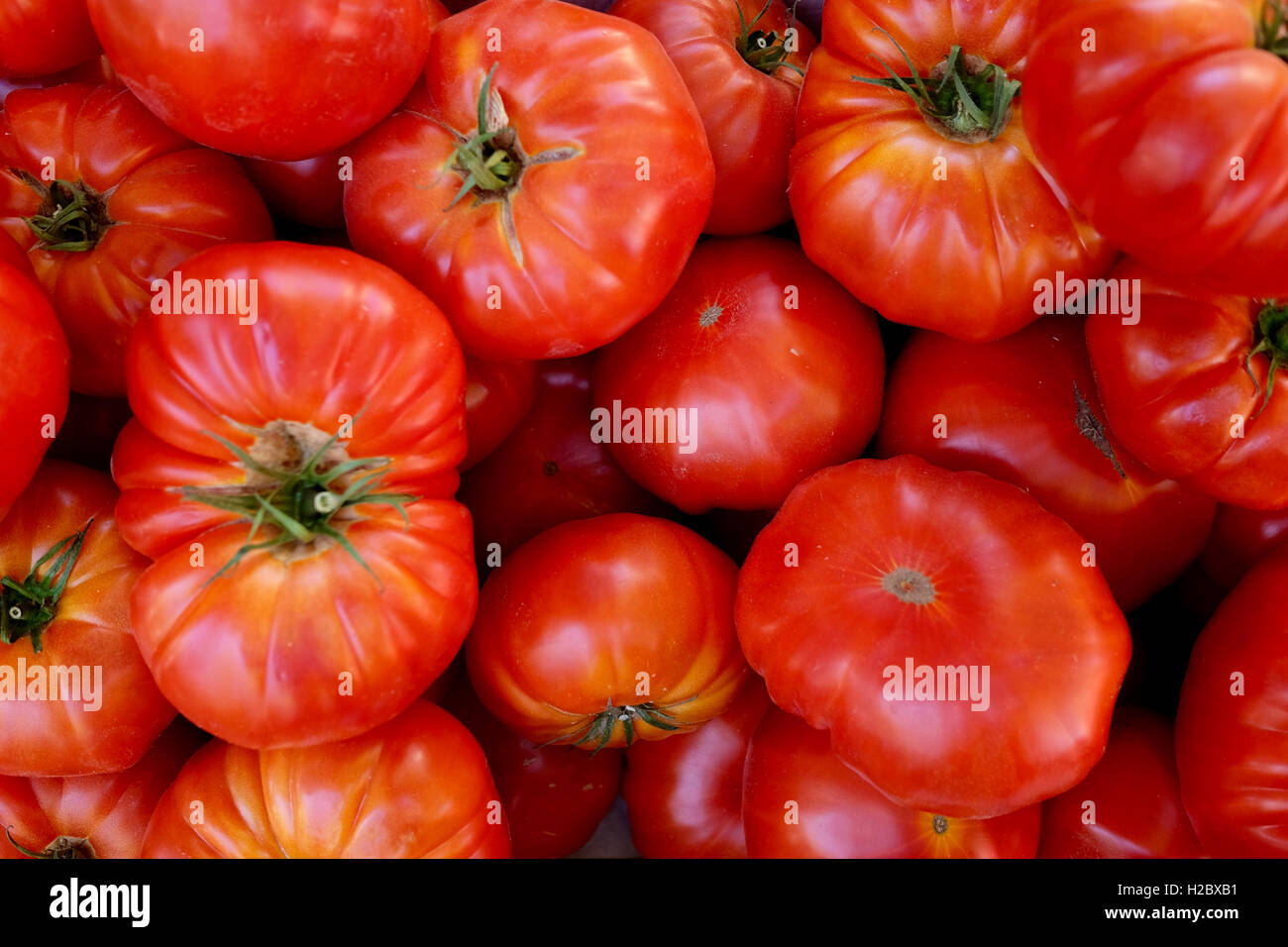 Pomodori per la vendita in un mercato locale Foto Stock