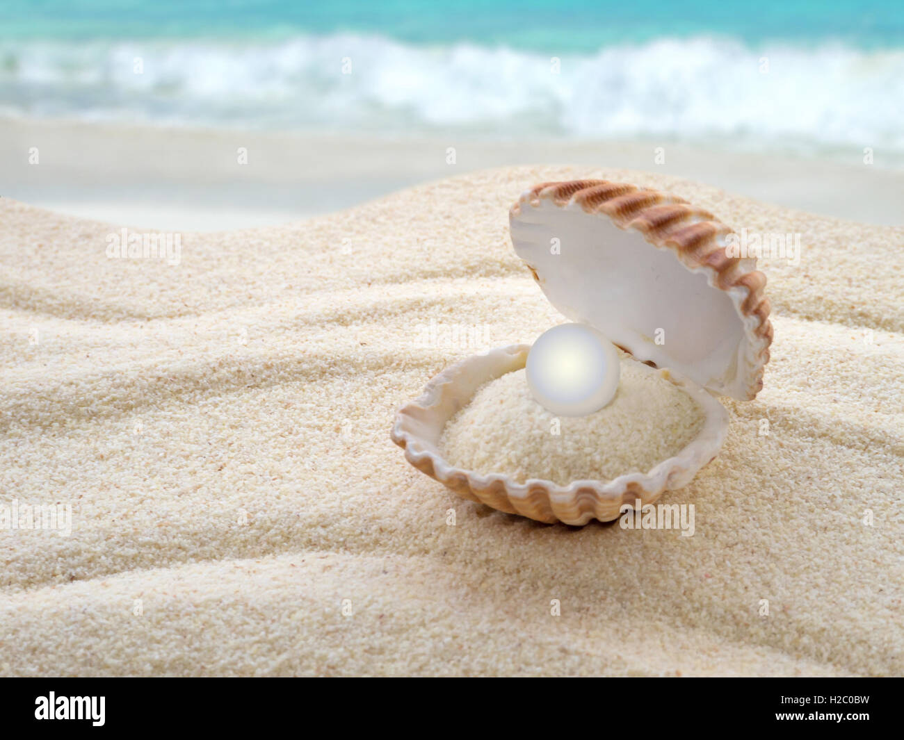 Guscio con una perla sulla spiaggia Foto Stock