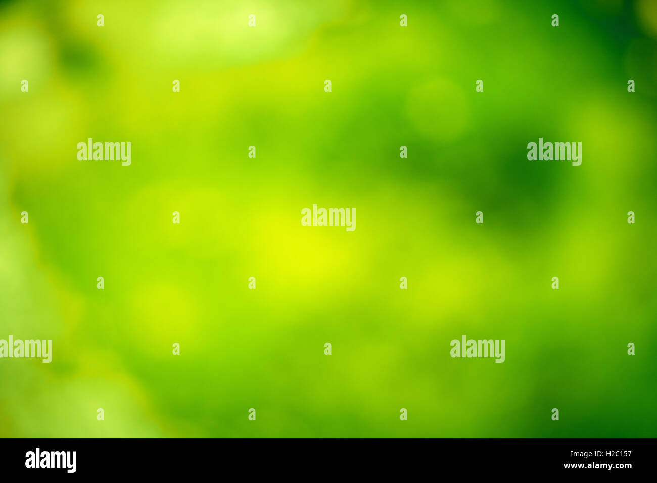 Abstract sfocare lo sfondo con una tonalità di verde Foto Stock