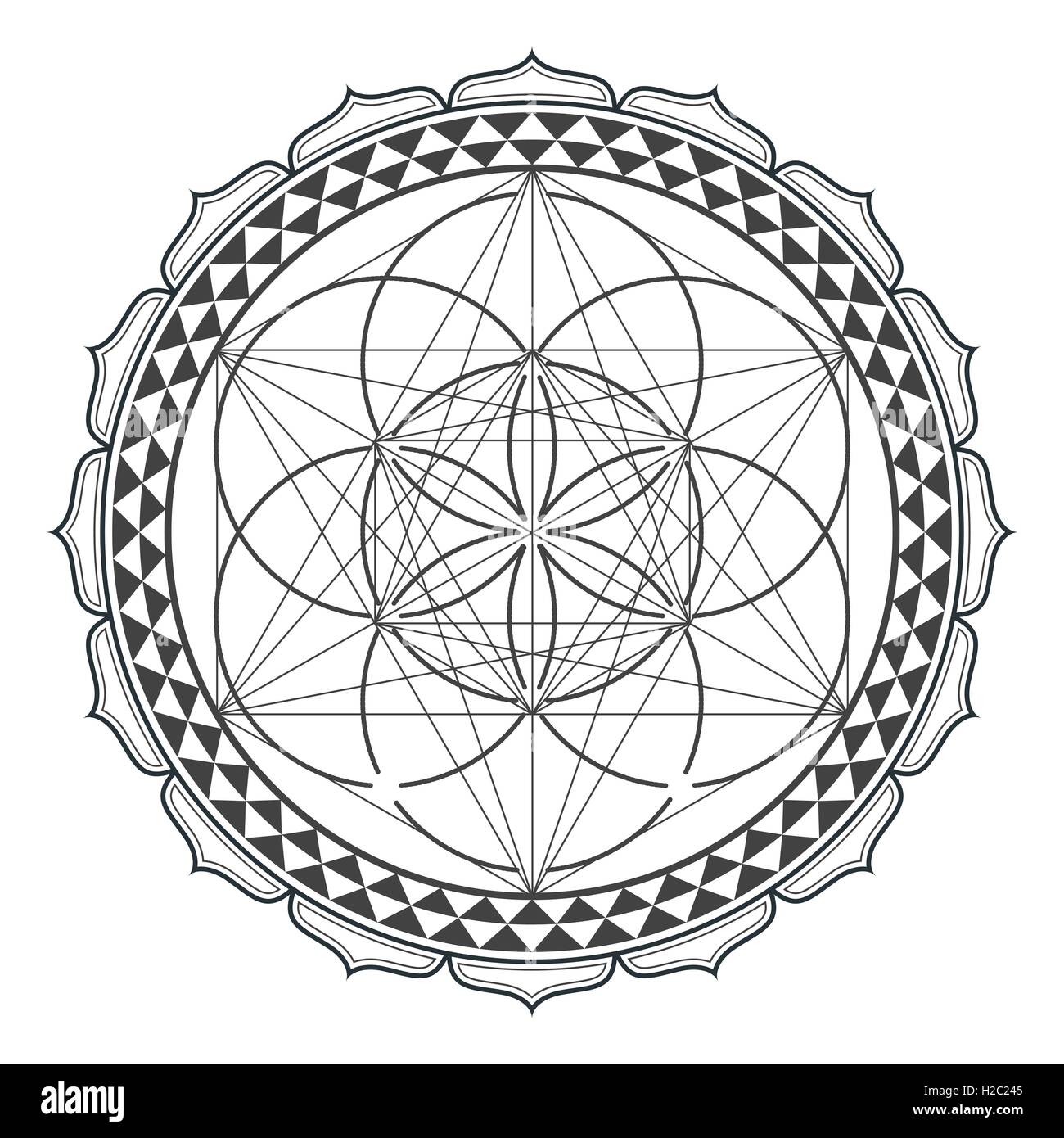 Vector contour design monocromatico mandala geometria sacra immagine seme di vita metatron lotus isolato sfondo bianco Illustrazione Vettoriale