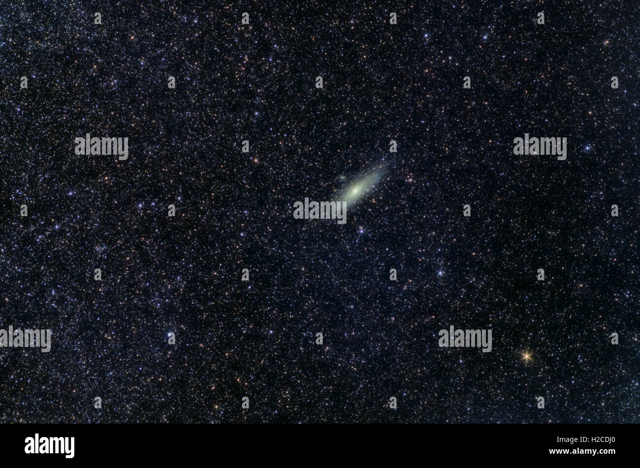 Astronomia Space Universe foto: la galassia di Andromeda (M31 o NGC224) con stelle come primo piano. L'esposizione totale 18 minuti. Foto Stock