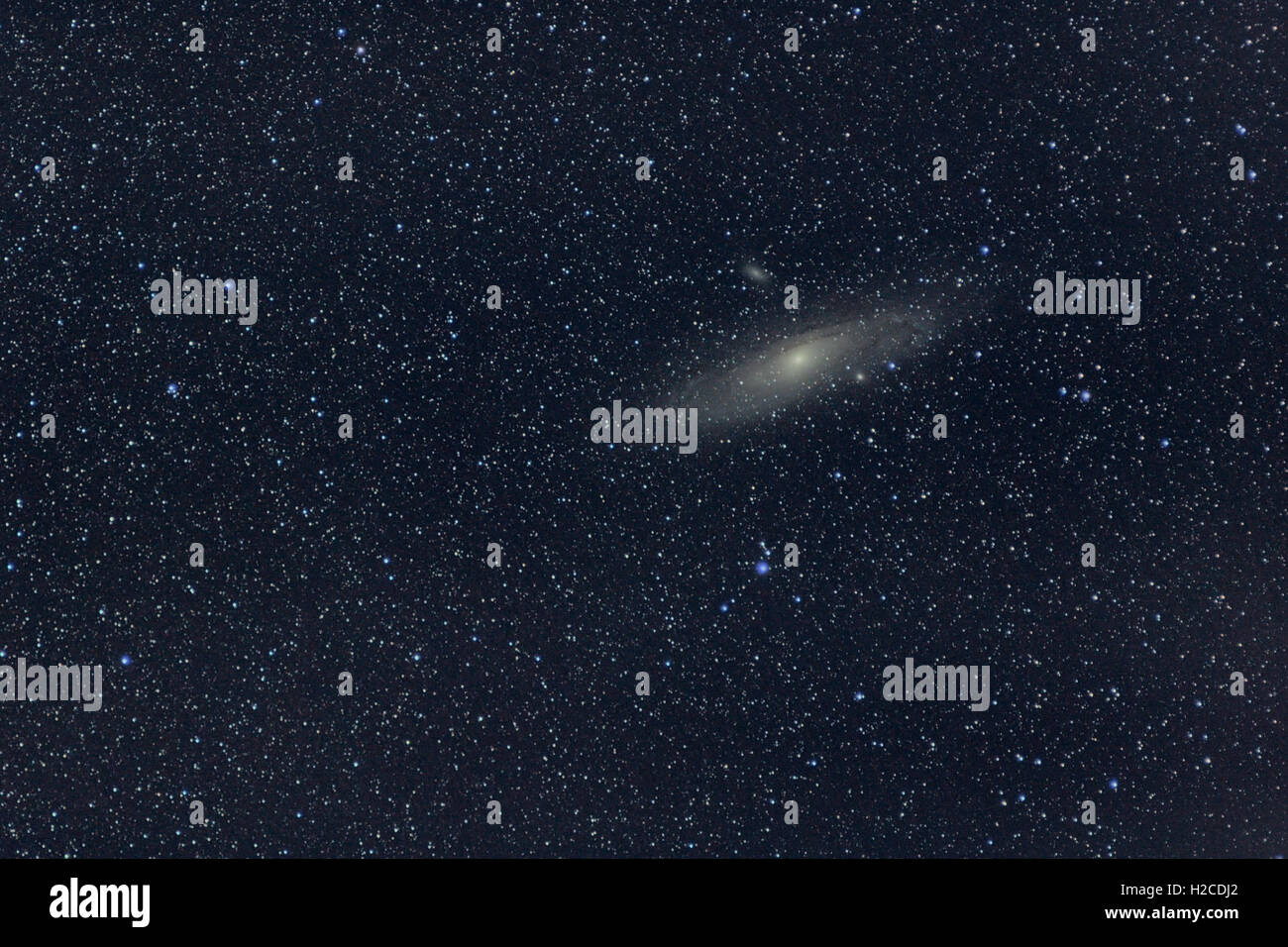 Astronomia Space Universe foto: la galassia di Andromeda (M31 o NGC224) con stelle come primo piano. L'esposizione totale 18 minuti. Foto Stock