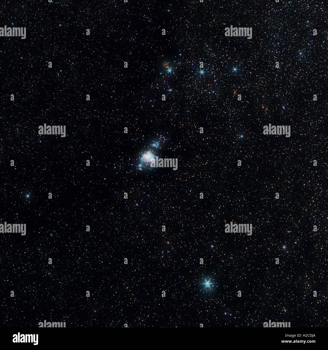 Universo spazio Immagine: foto reale di stellato cielo notturno con parte della costellazione di Orione. Foto Stock