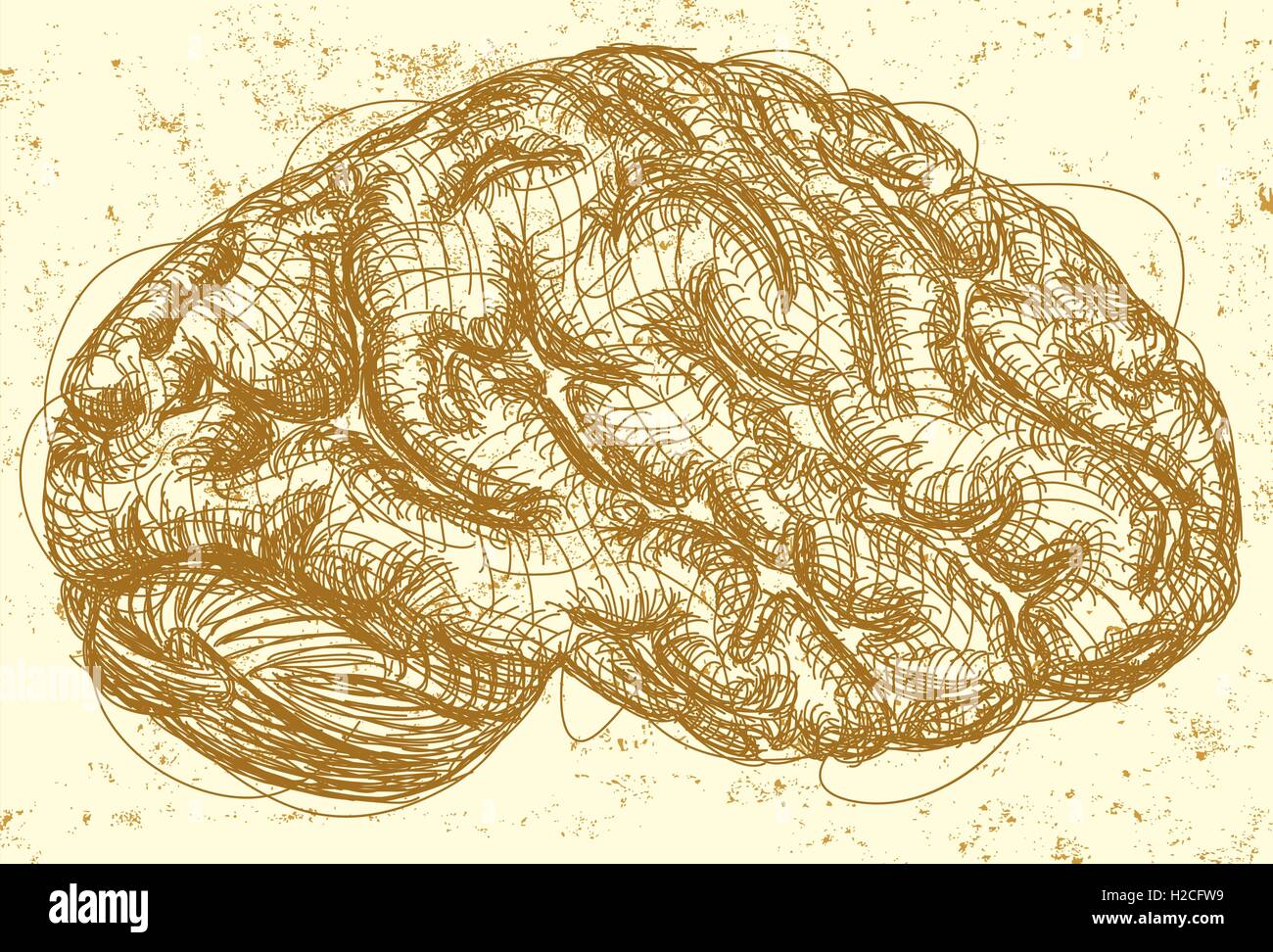 Cervello uno schizzo della vista laterale di un cervello su un sfondo astratto. Illustrazione Vettoriale