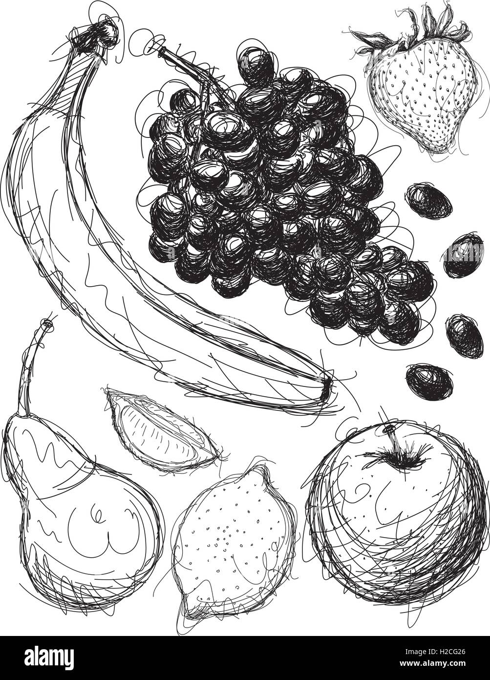 Un medley di brani di frutta schizzi Illustrazione Vettoriale