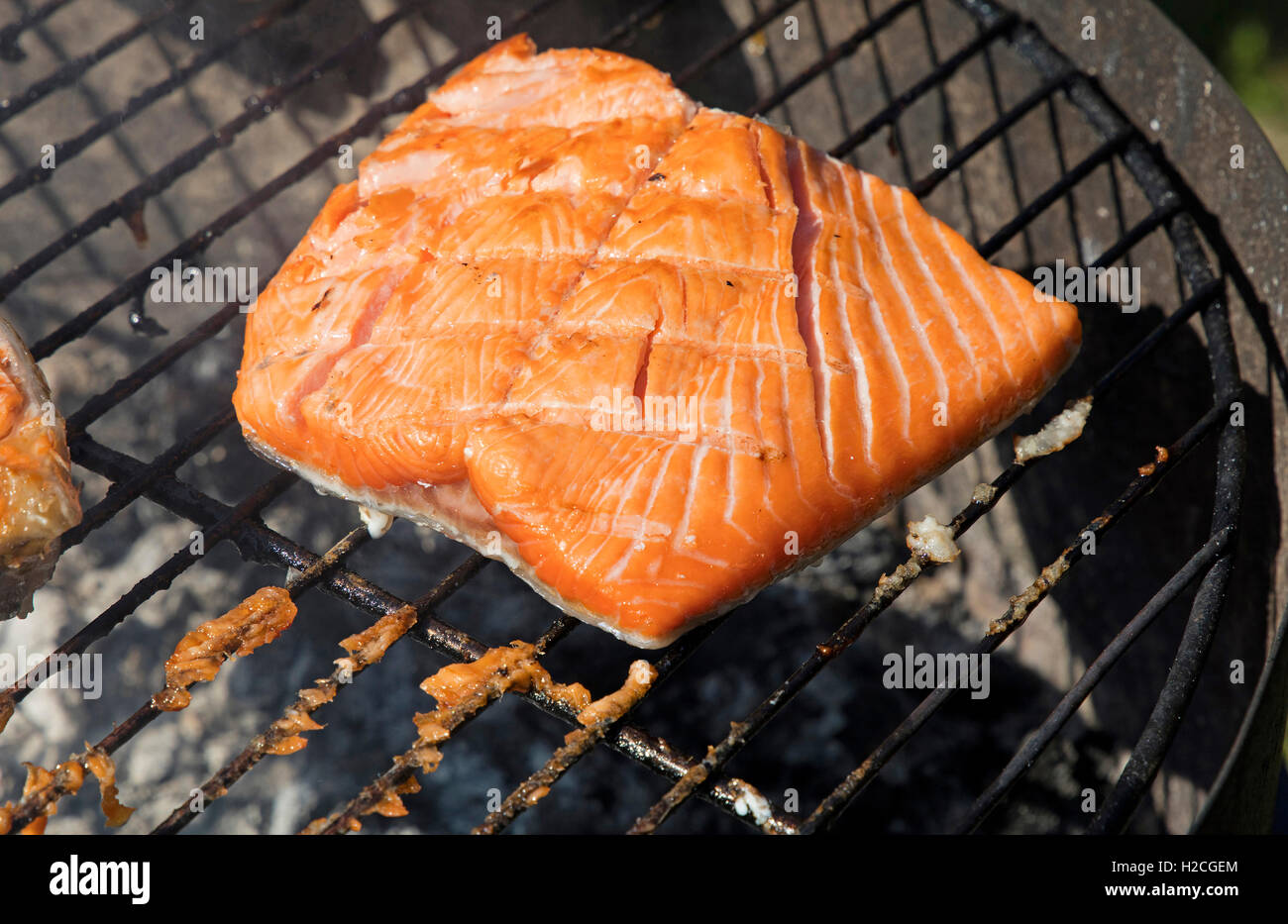 Un salmone alla griglia filetto di pesce barbecue preparato di cottura sulla griglia per il barbecue, close up Foto Stock