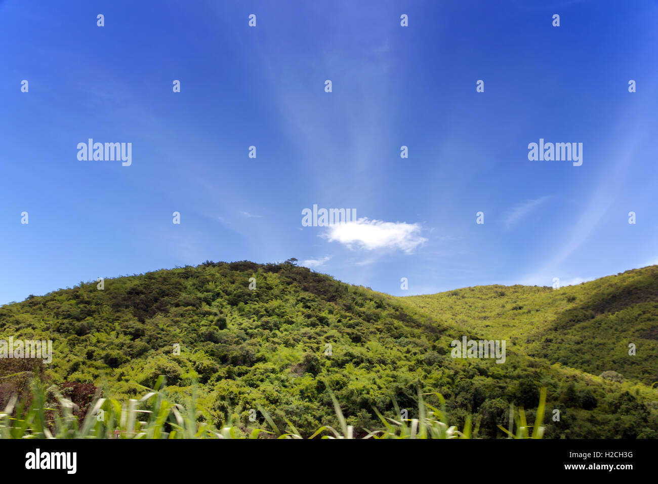 Montagna piena di alberi verdi e cielo perfetto Foto Stock