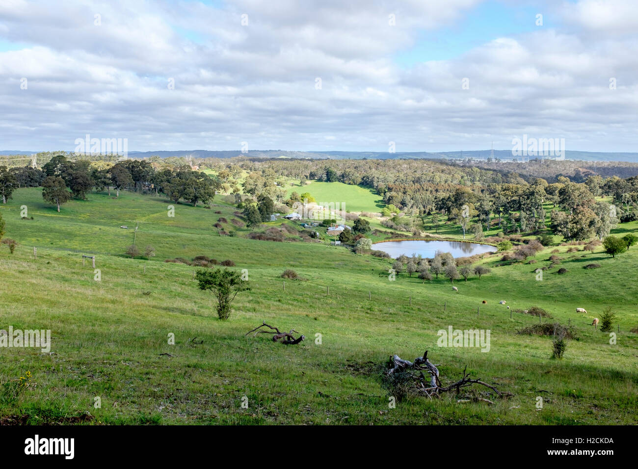 Il bel verde terreni agricoli di rotolamento sulle colline di Adelaide dopo buone piogge invernali Foto Stock