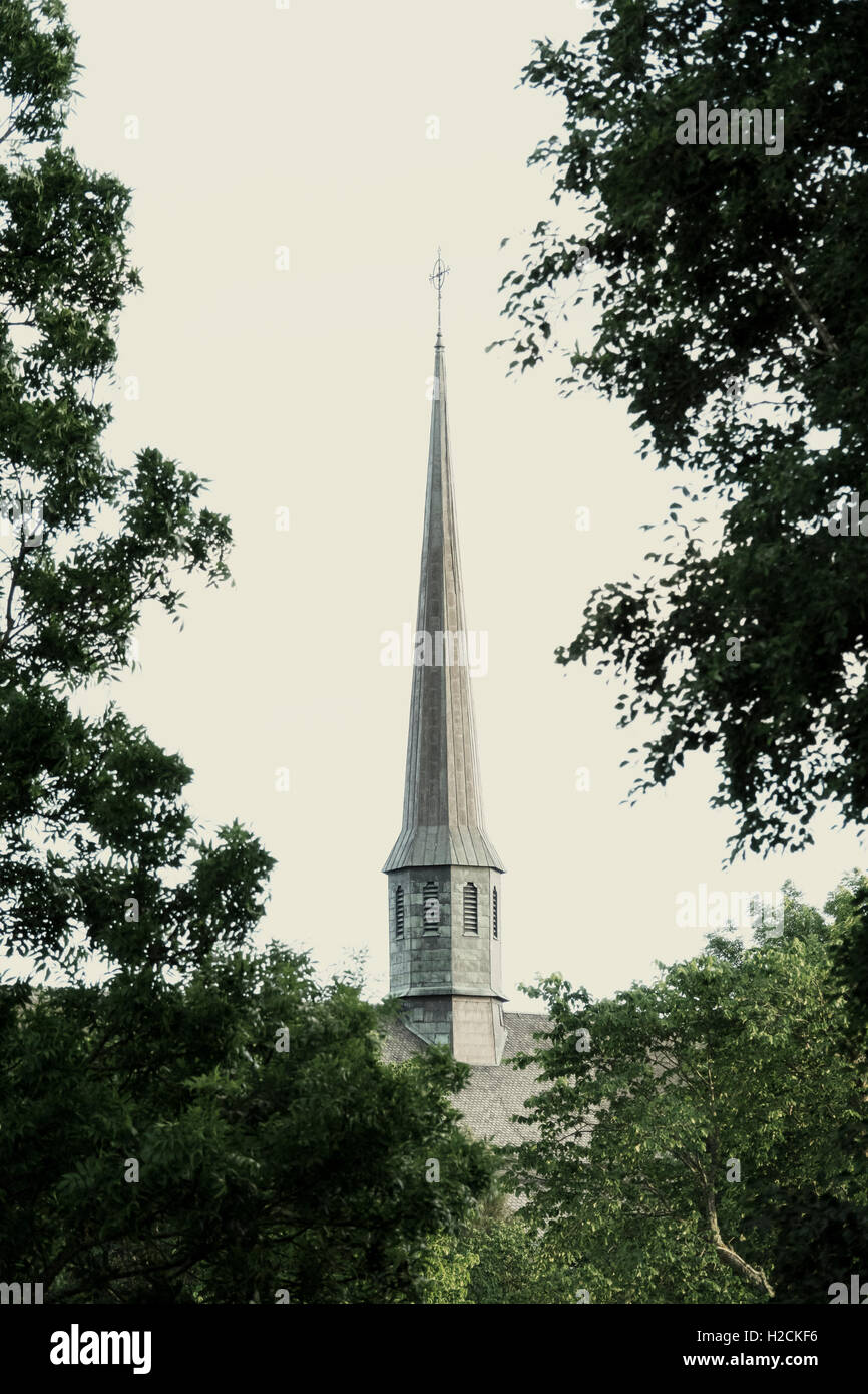 Abbazia di Vadstena tower, Scandinavian chiesa nel paesaggio naturale circondato da alberi d'estate. Foto Stock