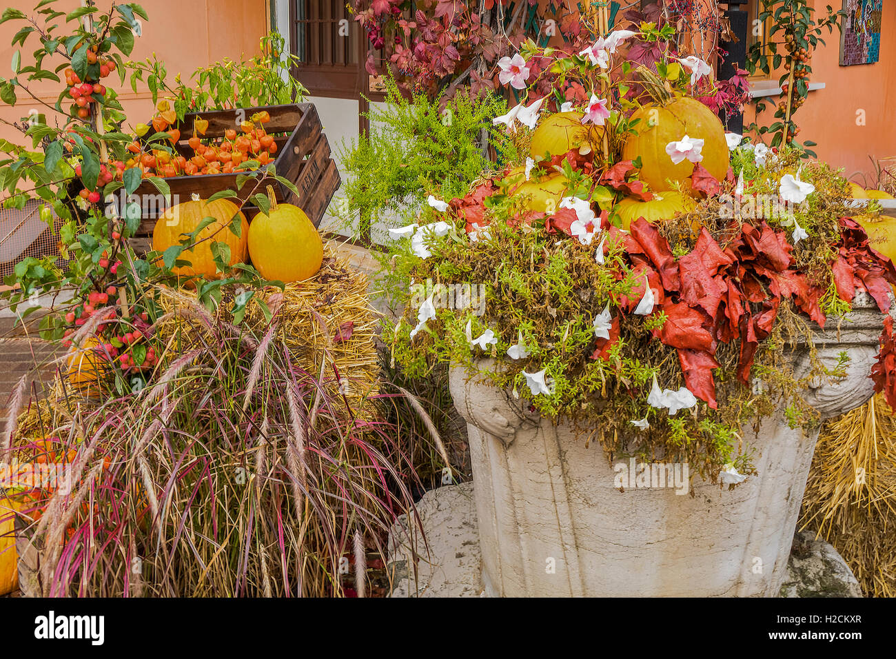 Harvest Festival Visualizzare l'isola di Murano Venezia Italia Foto Stock