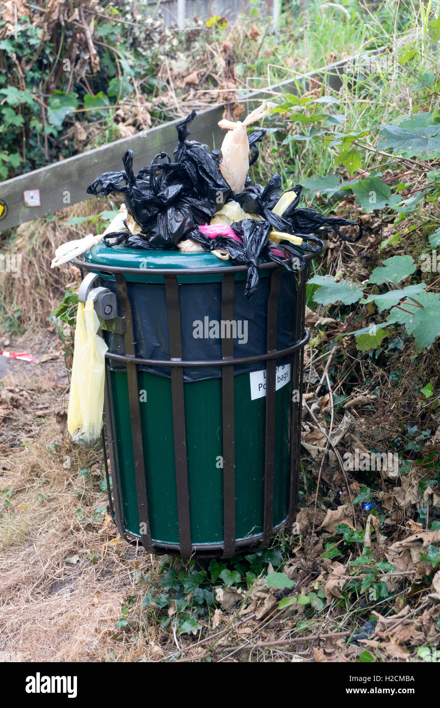 Traboccante cane bidone dei rifiuti Foto Stock