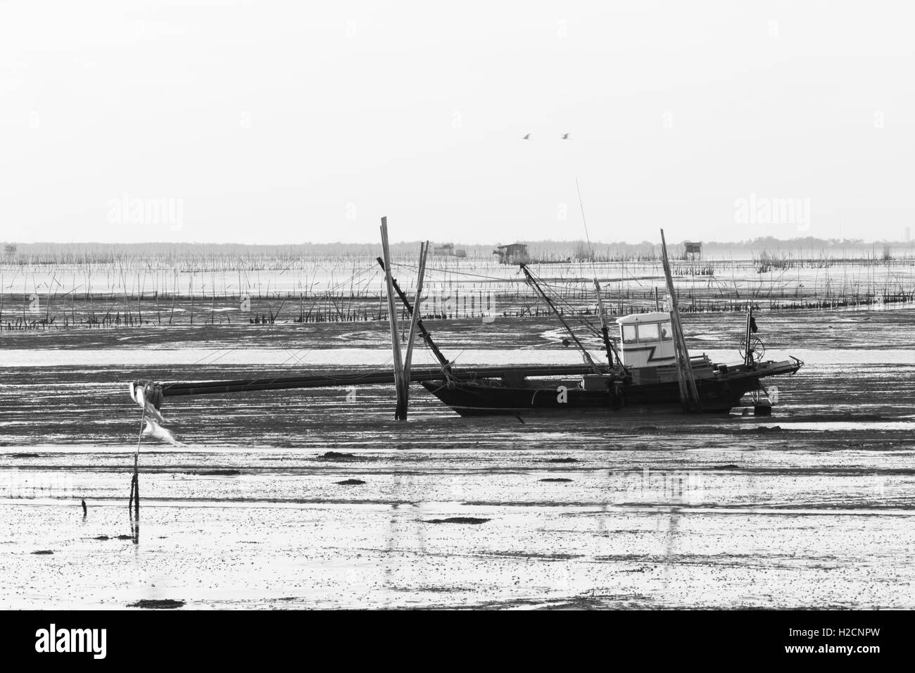 Barca da pesca sul mare con tramonto Foto Stock
