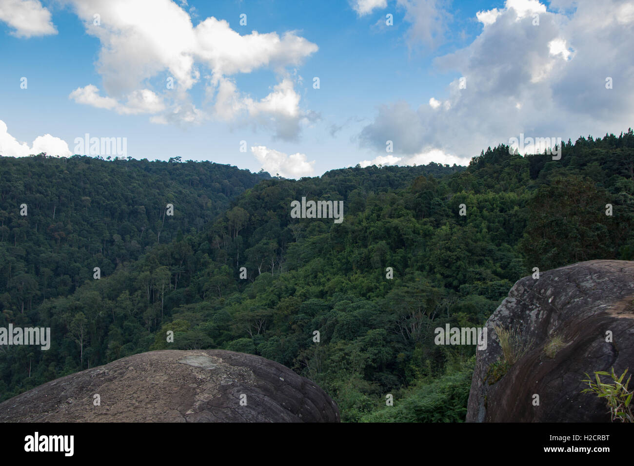 Paesaggio roccioso nella nazione Phuhinrongkla Park in phetchabun ,Thailandia Foto Stock