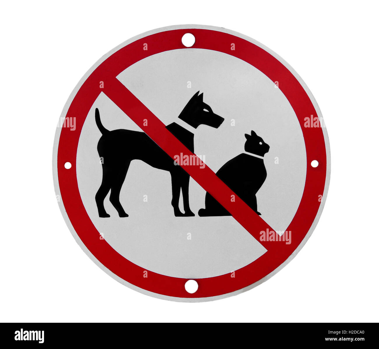 CANE FISCHIETTI KIT Metallo & Plastica Pet Suono Formazione Ultrasuoni