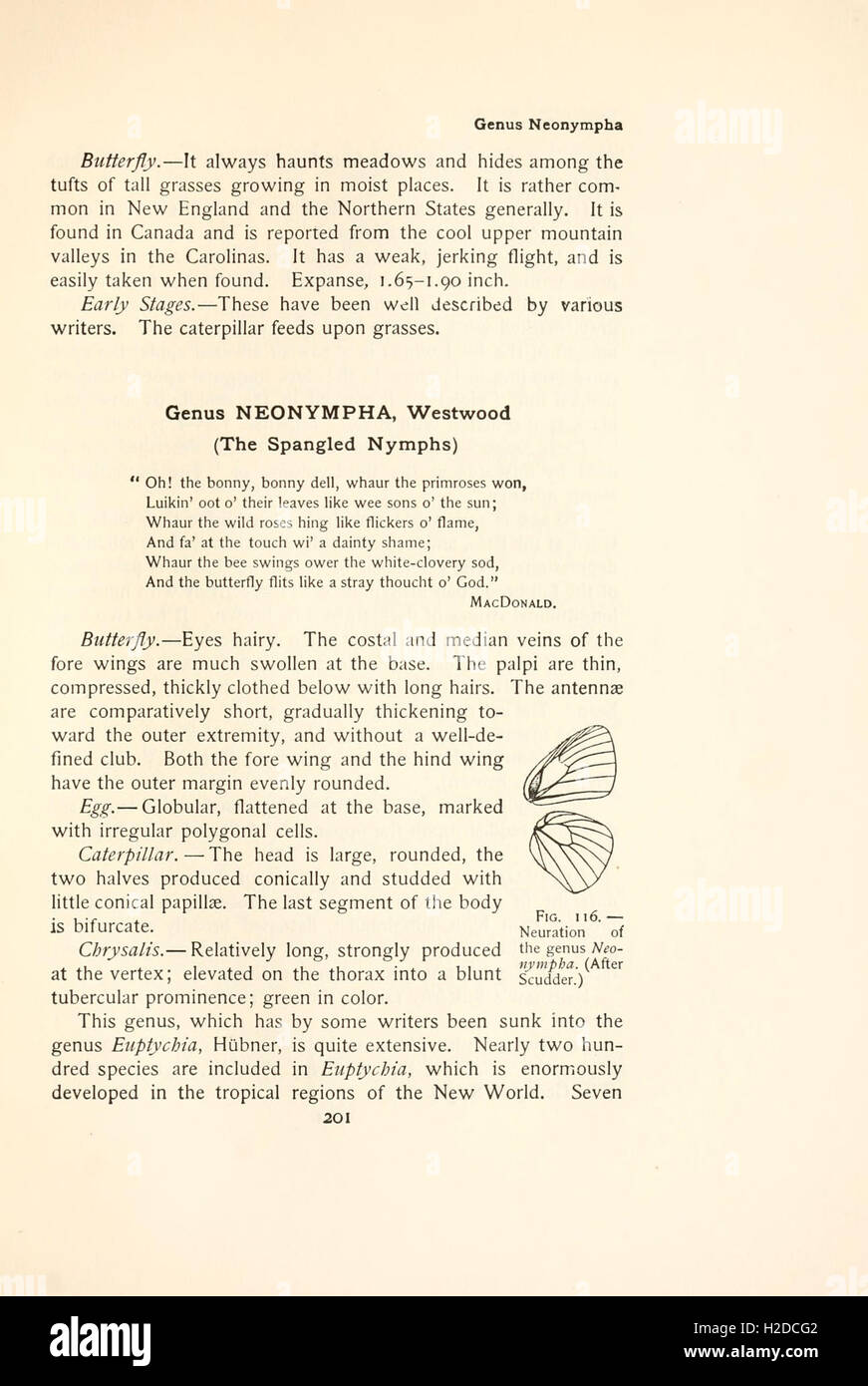 Il libro a farfalla (pagina 201, Fig. 116) Foto Stock